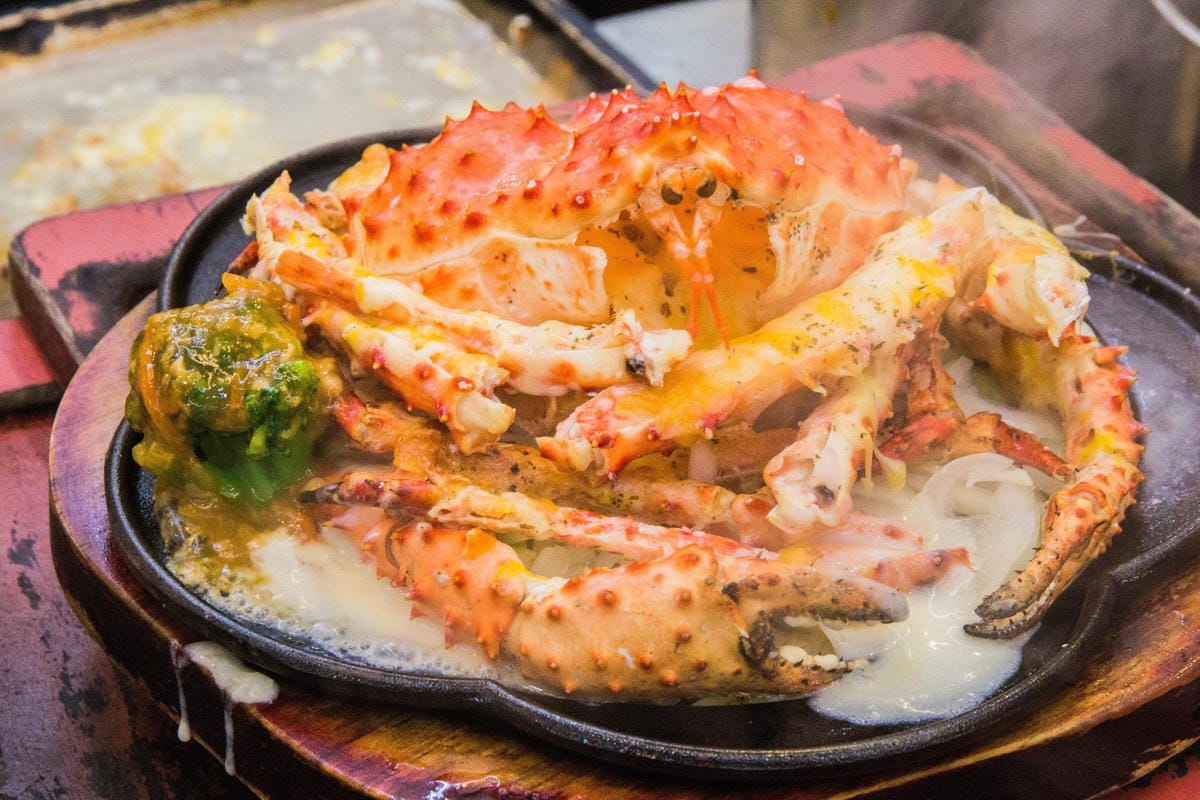 IMG_5054.JPG IMG_5054.JPG