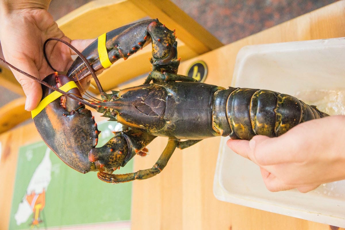 IMG_4968.JPG IMG_4968.JPG