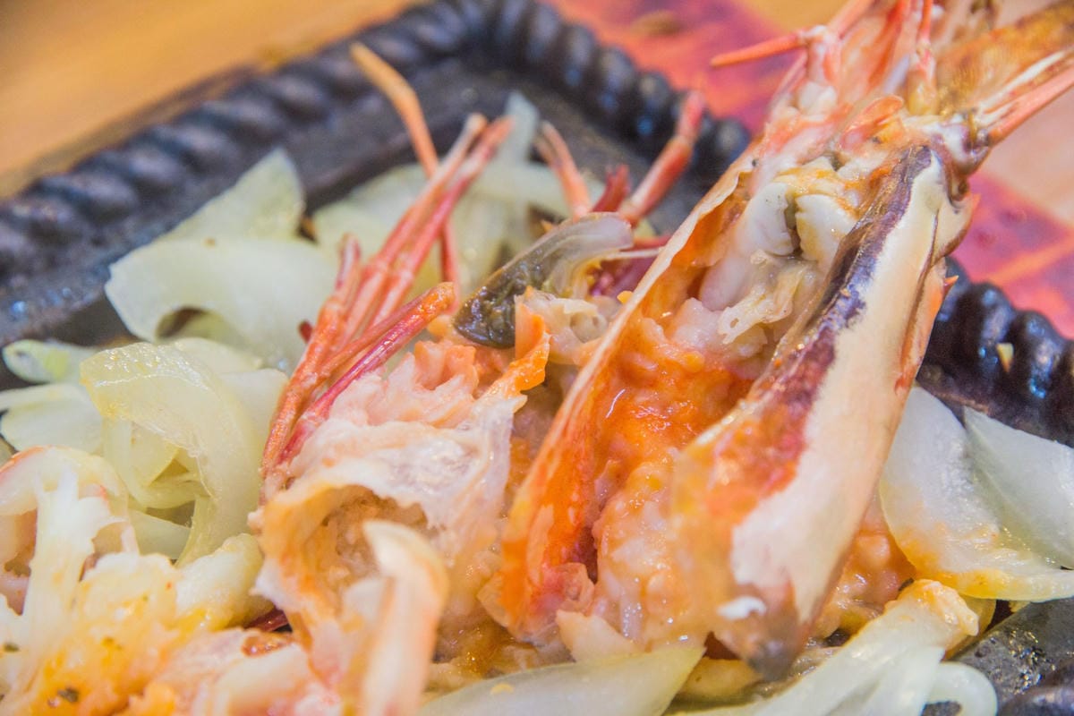 IMG_5019.JPG IMG_5019.JPG