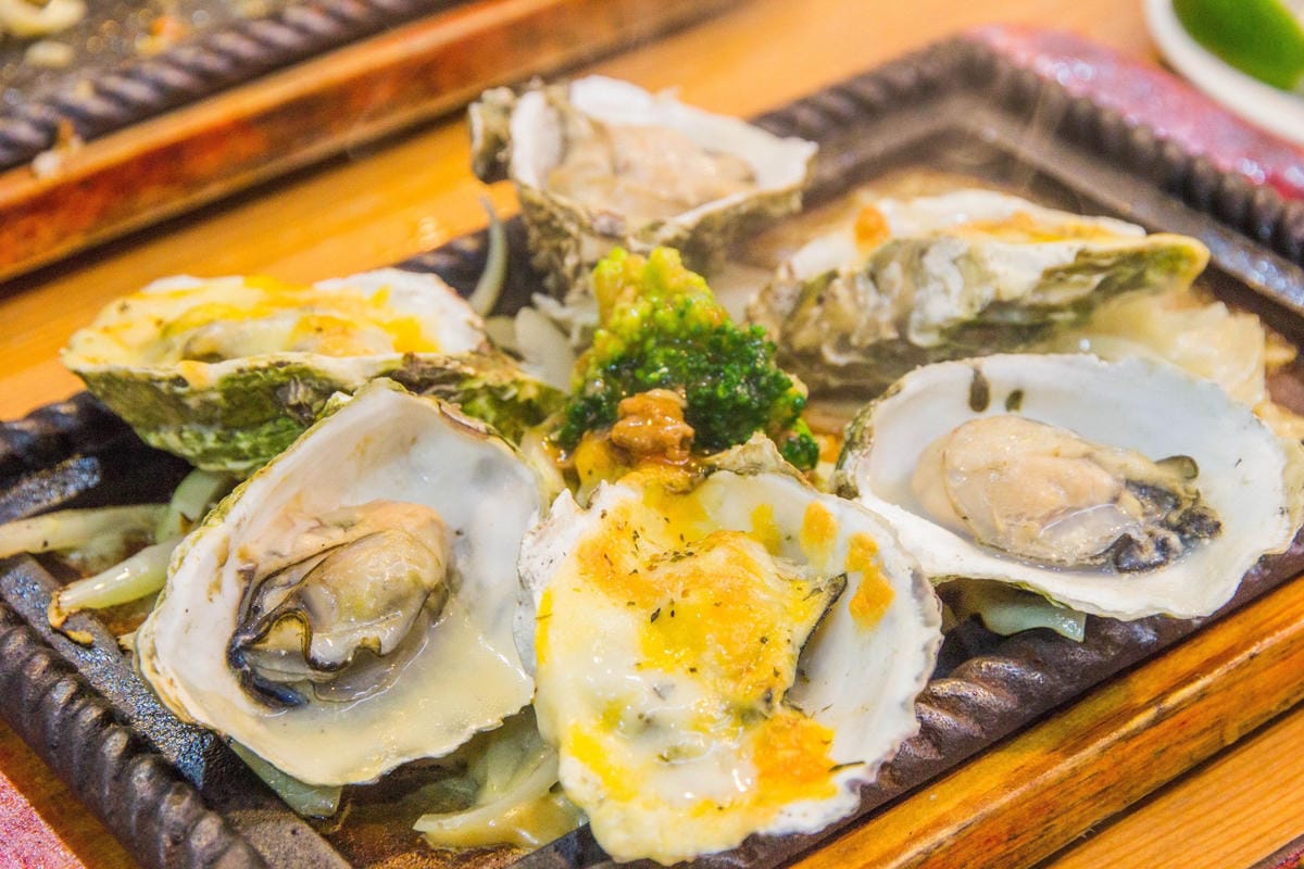 IMG_5032.JPG IMG_5032.JPG