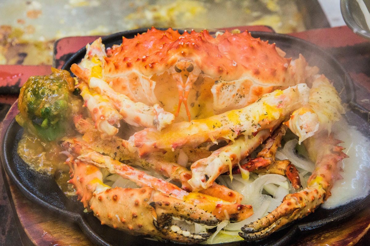 IMG_5053.JPG IMG_5053.JPG