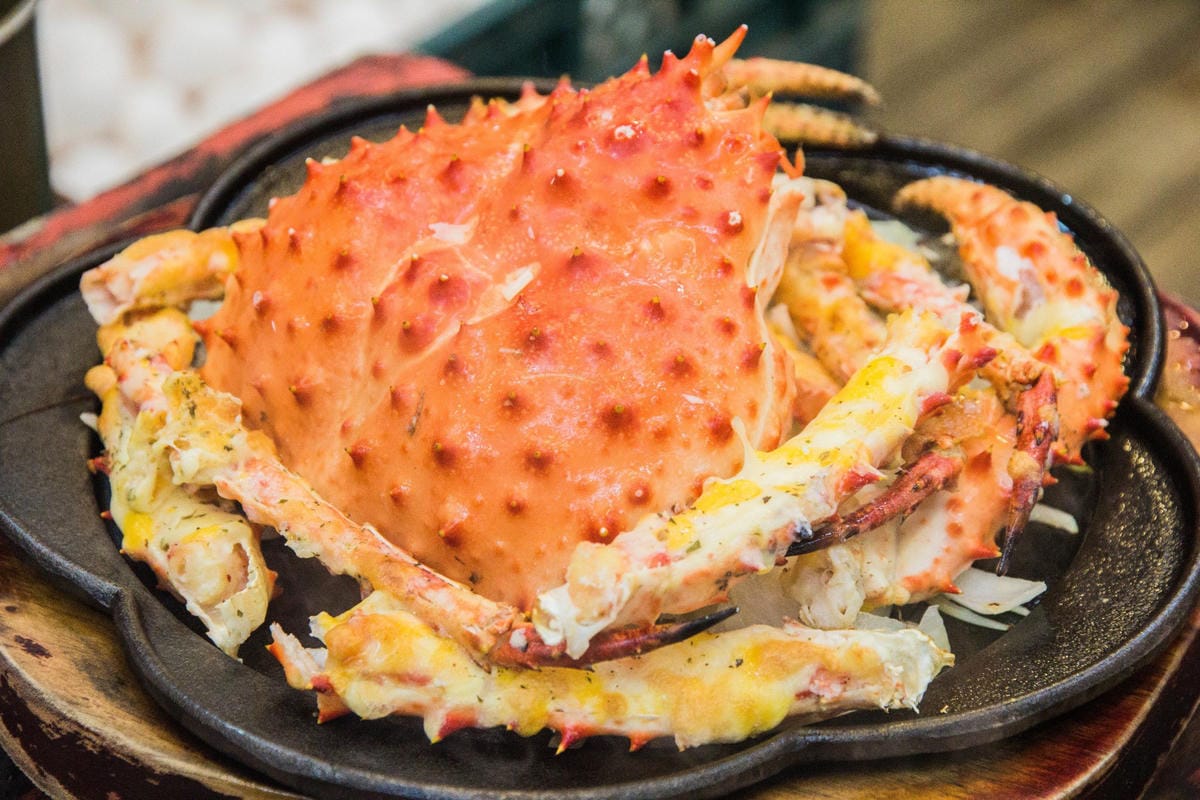 IMG_5051.JPG IMG_5051.JPG