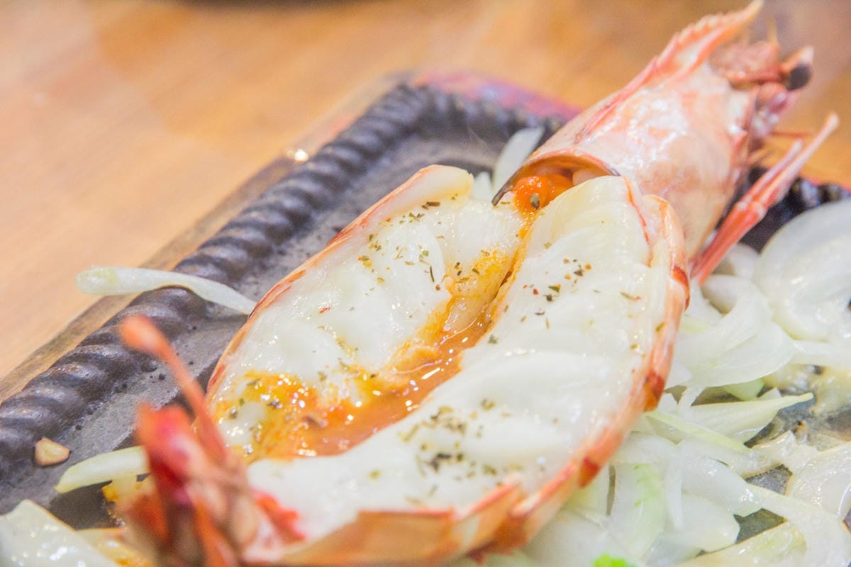 IMG_5009.JPG IMG_5009.JPG