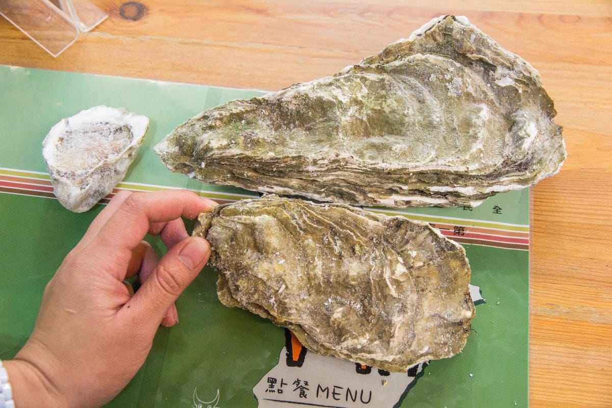 IMG_4971.JPG IMG_4971.JPG