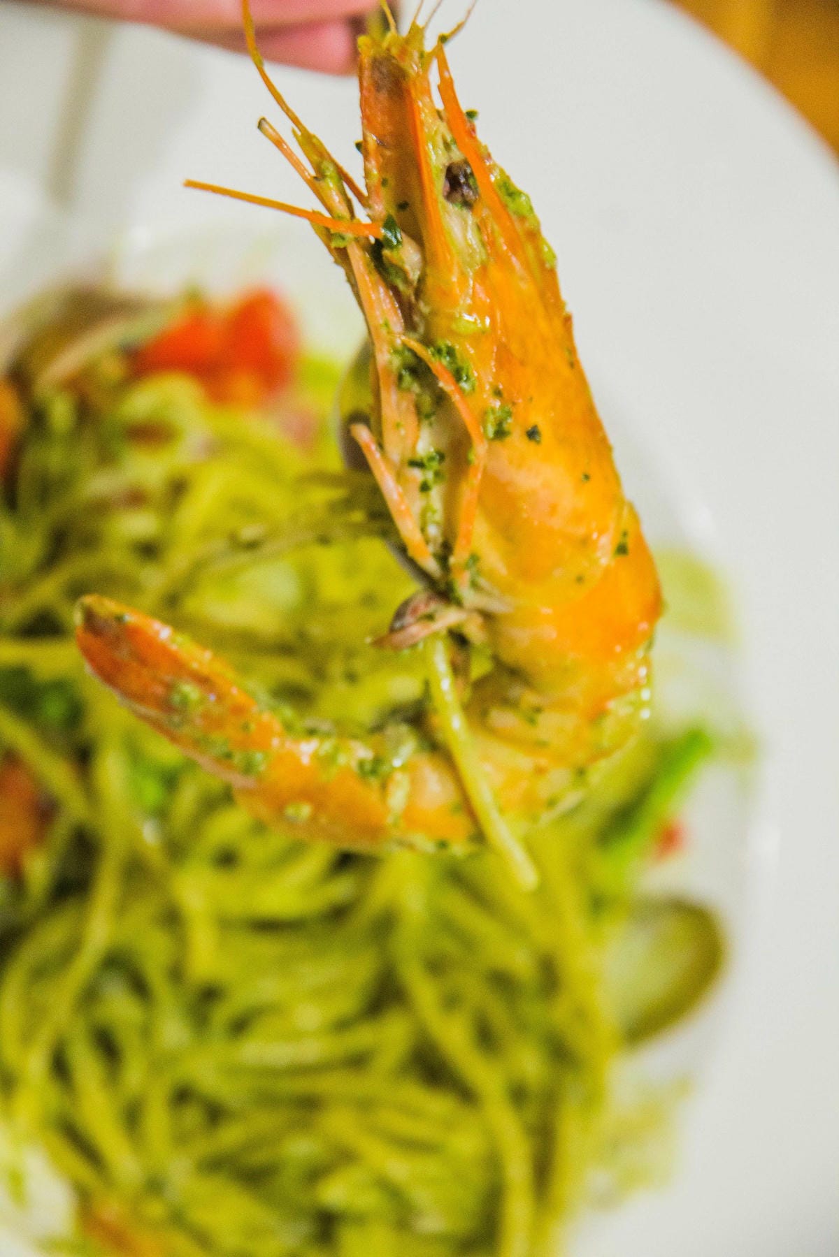 IMG_8628.JPG IMG_8628.JPG