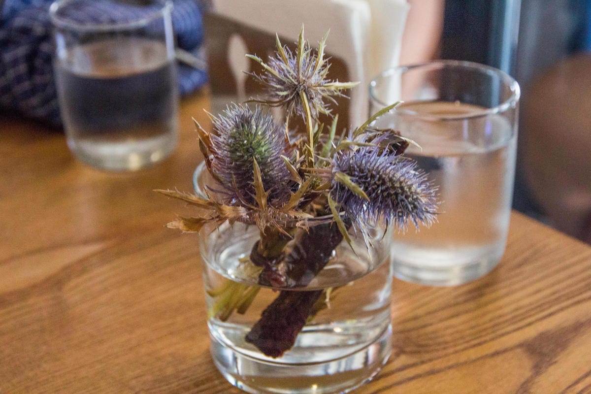 IMG_6359 (Copy).jpg IMG_6359 (Copy).jpg