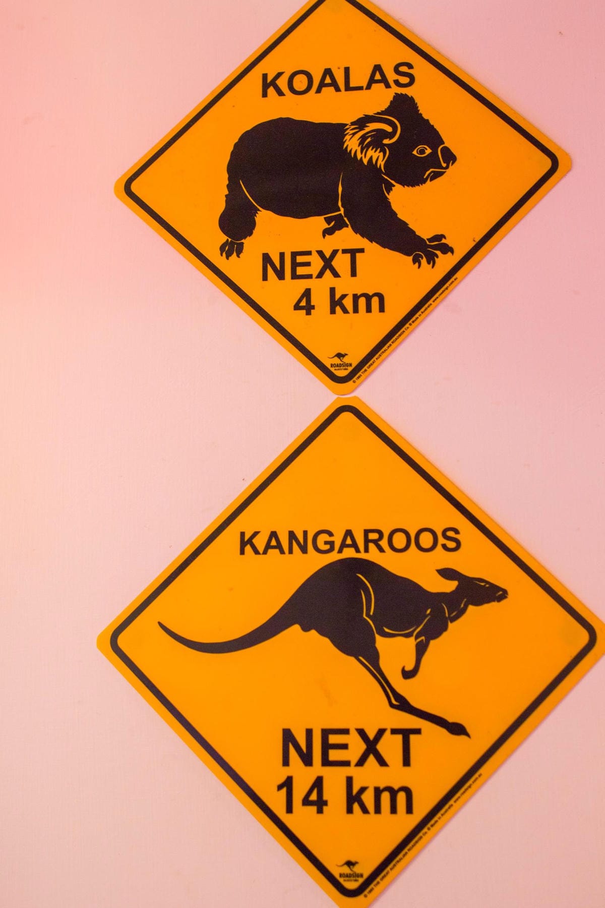 IMG_9765 (Copy).jpg IMG_9765 (Copy).jpg