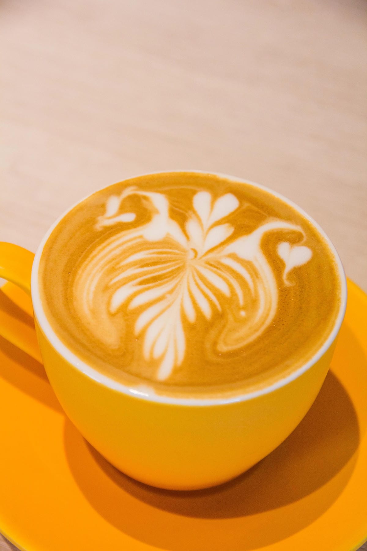 IMG_5523.jpg IMG_5523.jpg