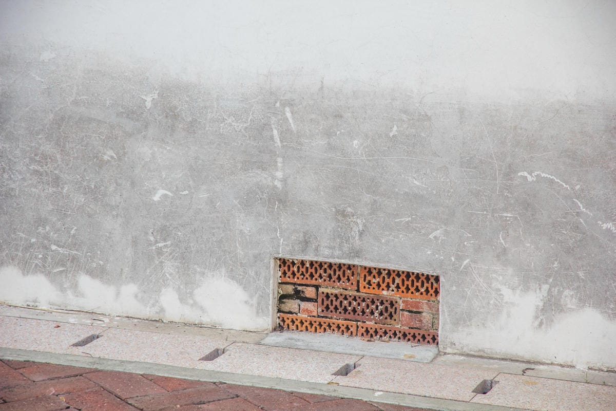 IMG_6892 (Copy).jpg IMG_6892 (Copy).jpg