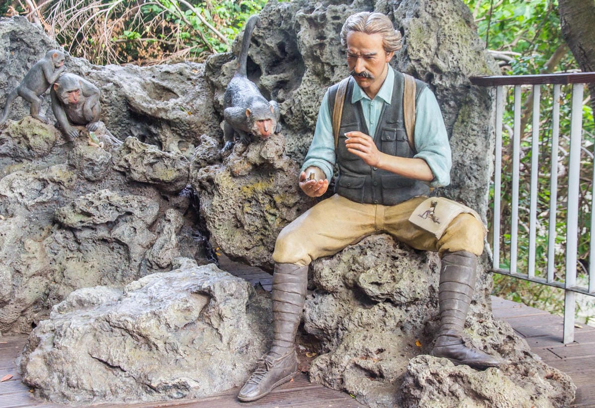 IMG_6880 (Copy).jpg IMG_6880 (Copy).jpg