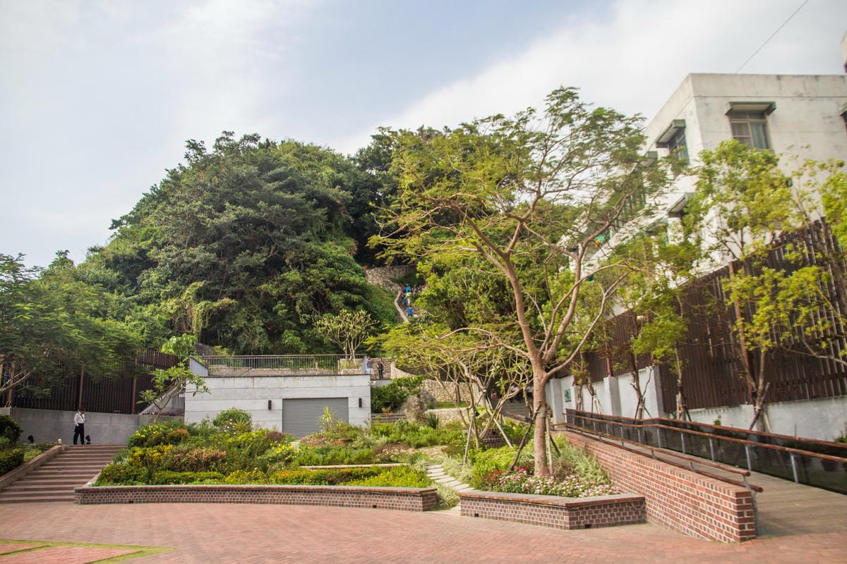 IMG_6844 (Copy).jpg IMG_6844 (Copy).jpg