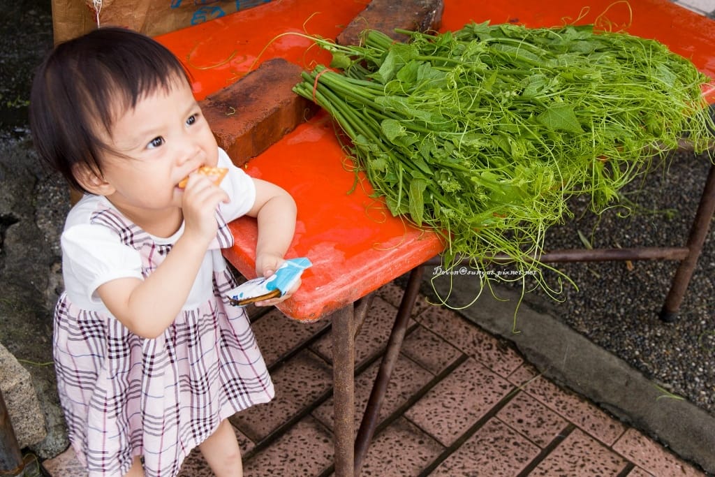 IMG_7091 (1024x683).jpg