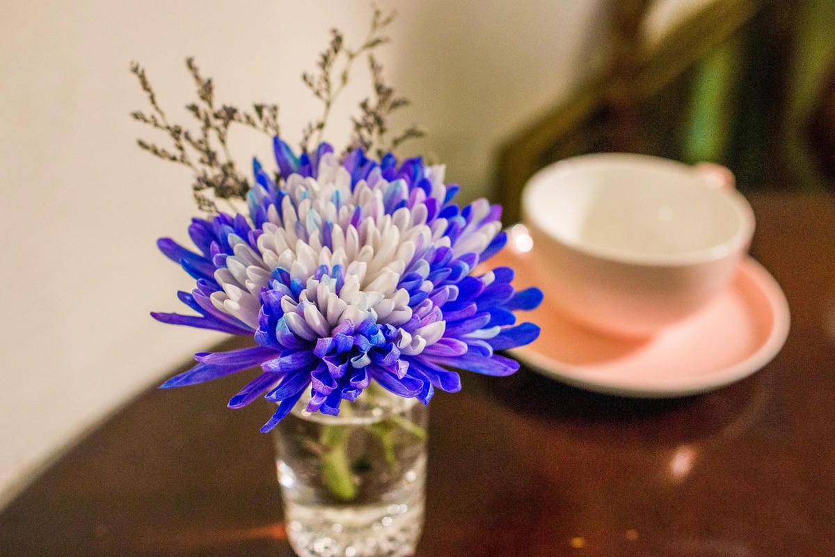 IMG_6867 (Copy).jpg IMG_6867 (Copy).jpg