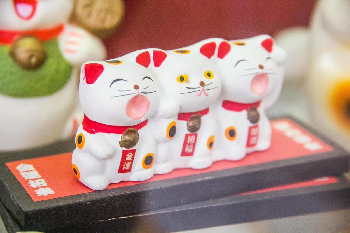 IMG_9306 (Copy).jpg IMG_9306 (Copy).jpg