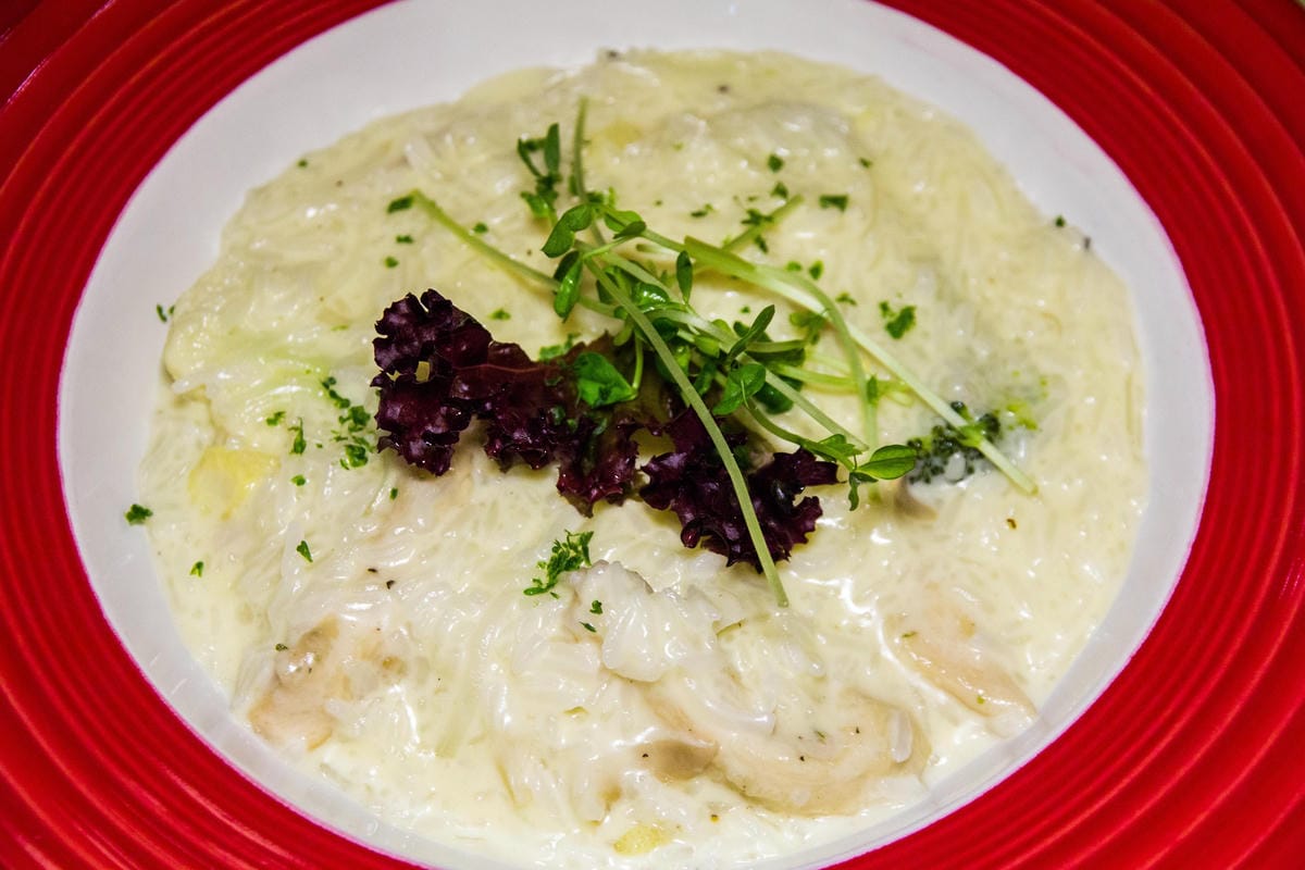 IMG_1131 (Copy).jpg IMG_1131 (Copy).jpg