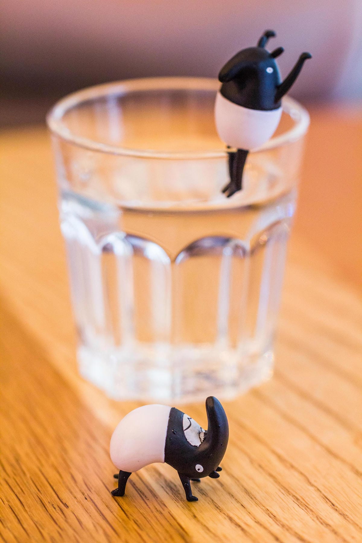 IMG_1383 (Copy).jpg IMG_1383 (Copy).jpg