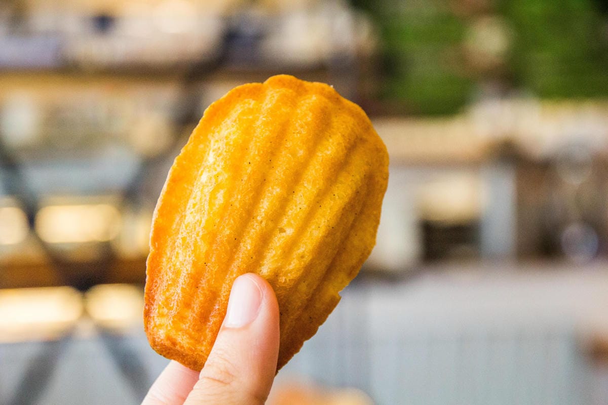 IMG_2101 (Copy).jpg IMG_2101 (Copy).jpg