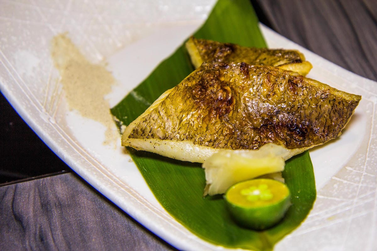 IMG_4202 (Copy).jpg IMG_4202 (Copy).jpg