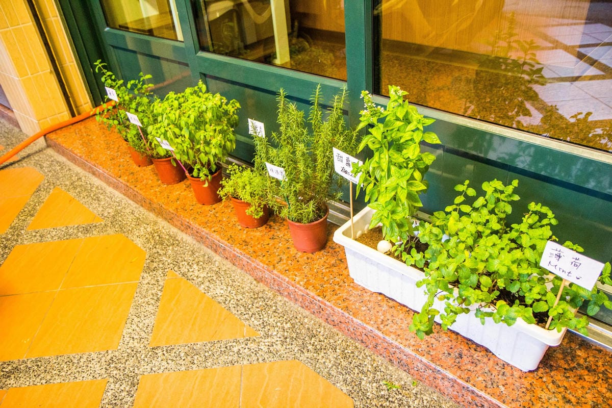 IMG_4721 (Copy).jpg IMG_4721 (Copy).jpg