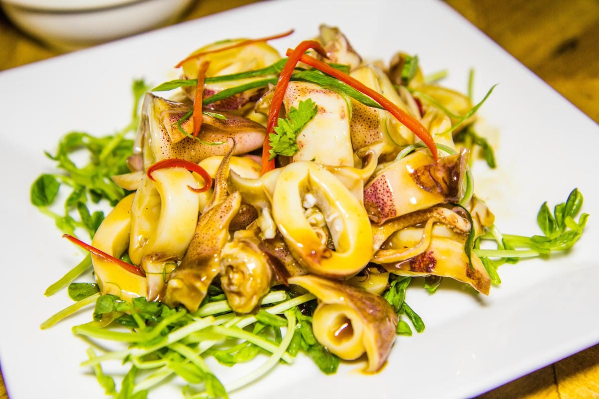 IMG_5498 (Copy).jpg IMG_5498 (Copy).jpg