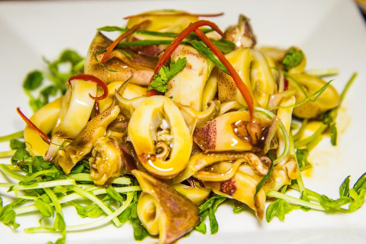 IMG_5495 (Copy).jpg IMG_5495 (Copy).jpg