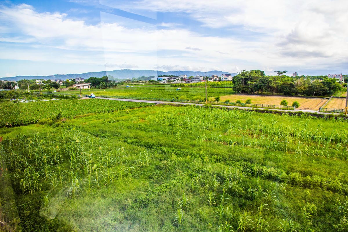 IMG_6012 (Copy).jpg IMG_6012 (Copy).jpg