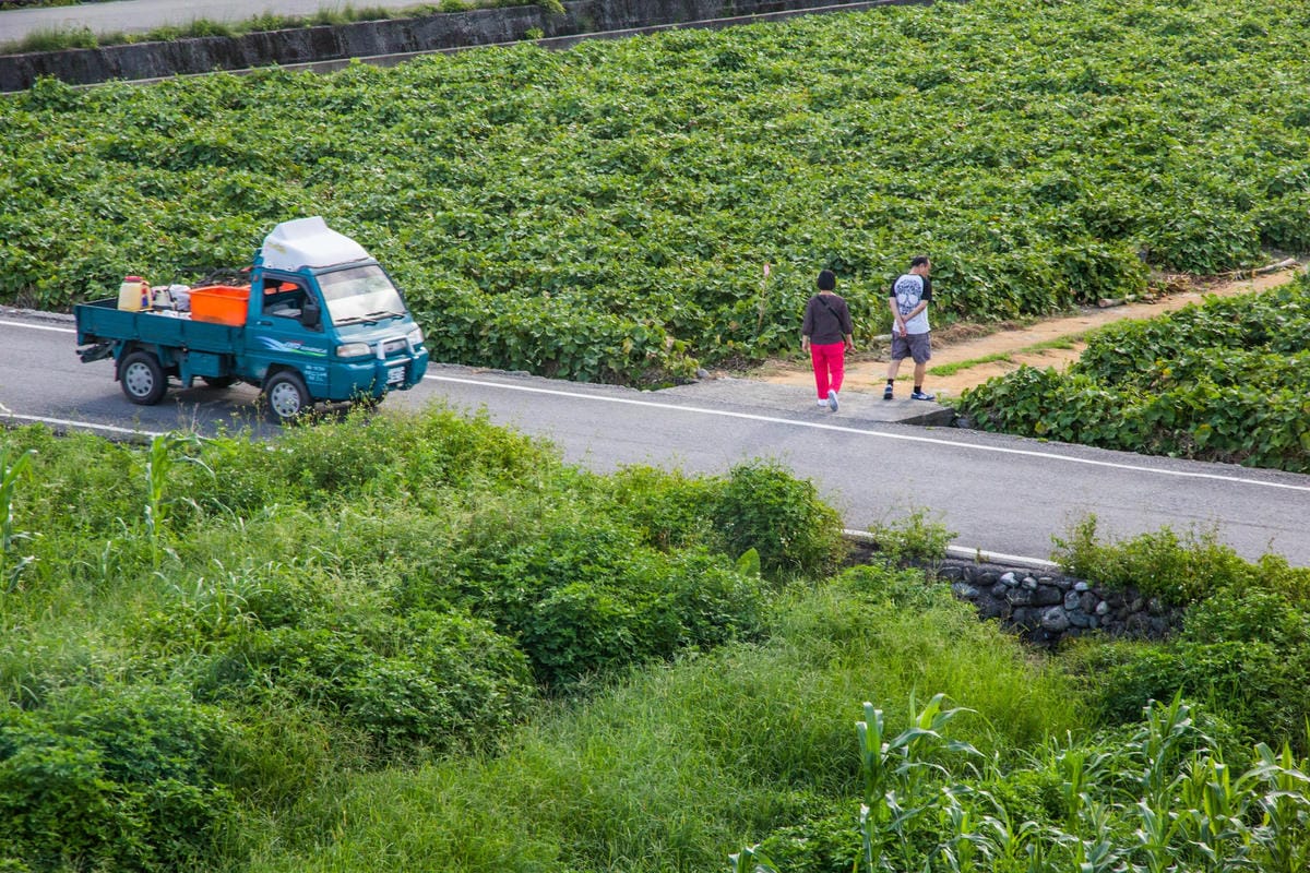 IMG_6024 (Copy).jpg IMG_6024 (Copy).jpg