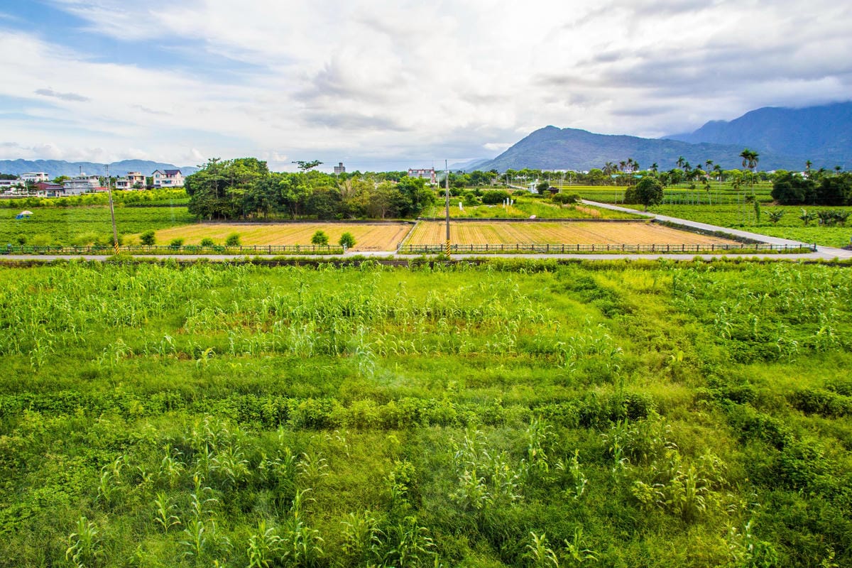 IMG_6011 (Copy).jpg IMG_6011 (Copy).jpg