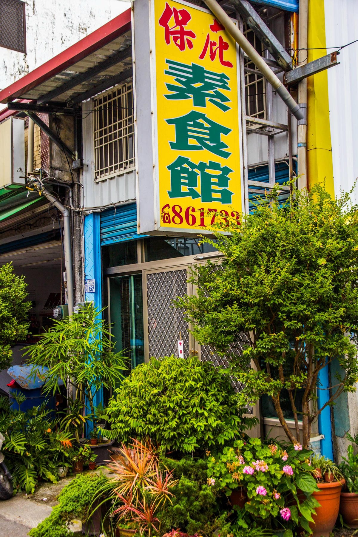 IMG_5972 (Copy).jpg IMG_5972 (Copy).jpg