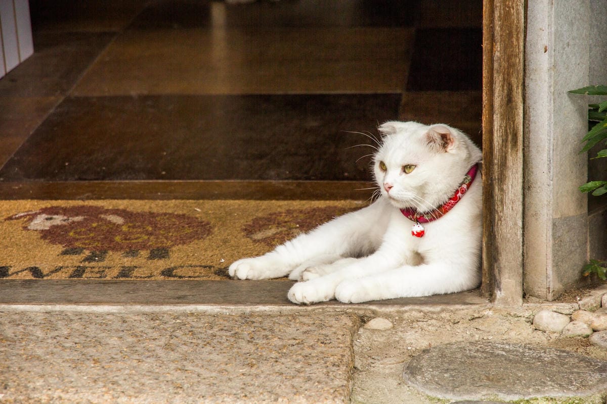 IMG_5949 (Copy).jpg IMG_5949 (Copy).jpg