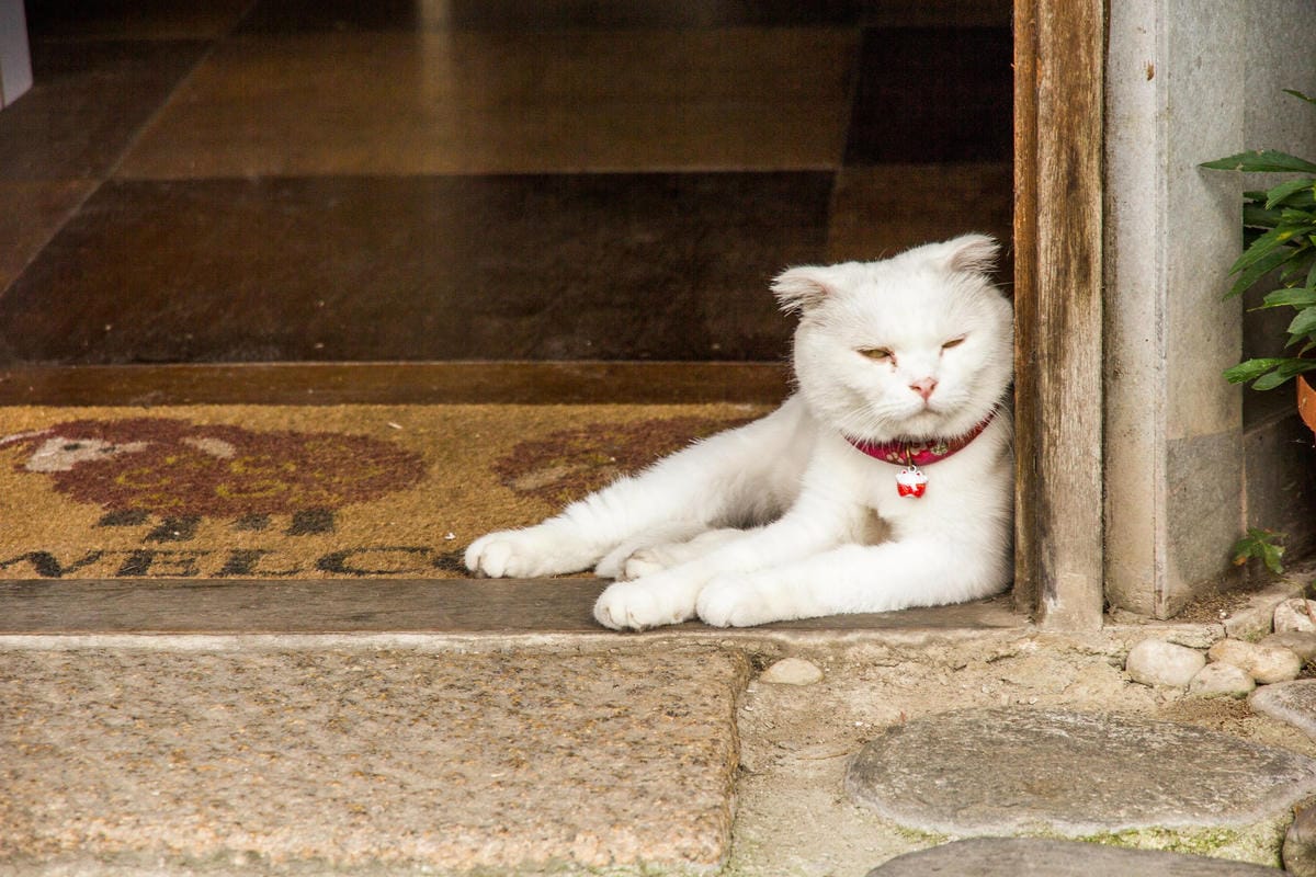 IMG_5948 (Copy).jpg IMG_5948 (Copy).jpg