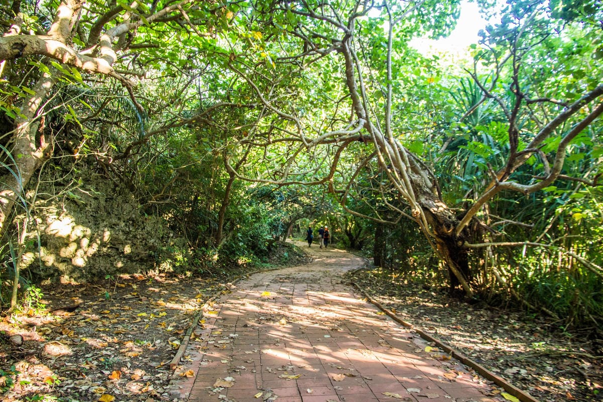 IMG_0680 (Copy).jpg IMG_0680 (Copy).jpg