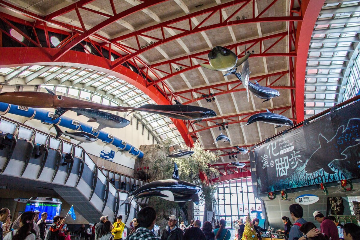 IMG_4855 (Copy).JPG IMG_4855 (Copy).JPG