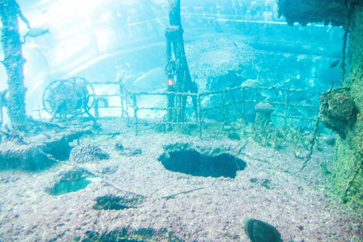 IMG_0493 (Copy).jpg IMG_0493 (Copy).jpg