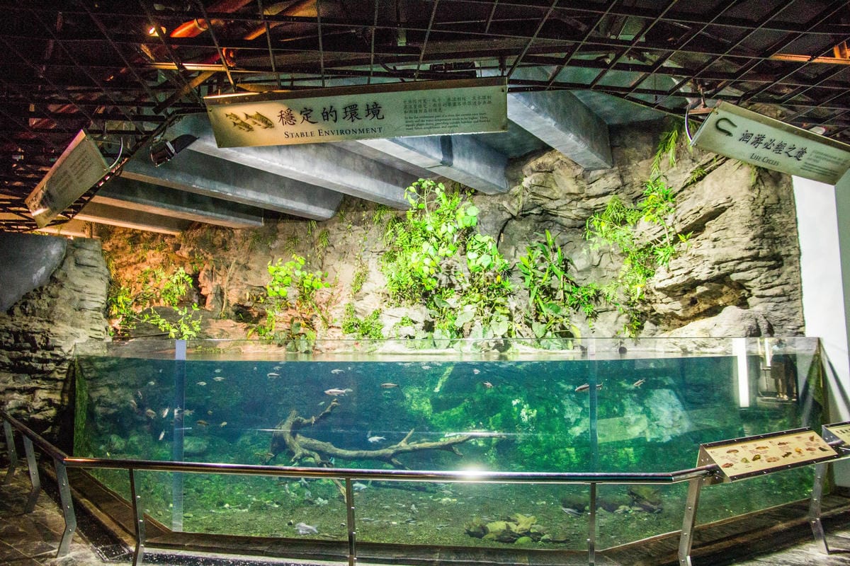 IMG_0512 (Copy).jpg IMG_0512 (Copy).jpg