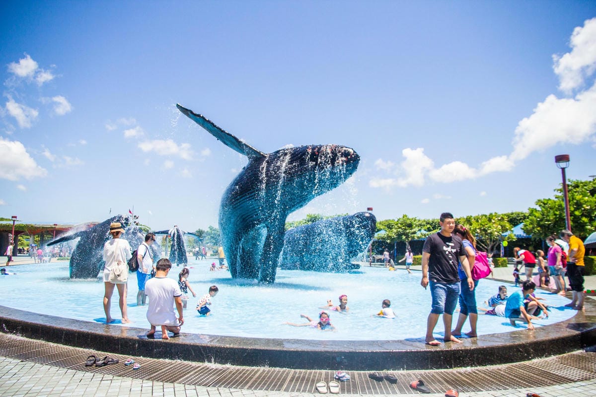 IMG_0550 (Copy).jpg IMG_0550 (Copy).jpg