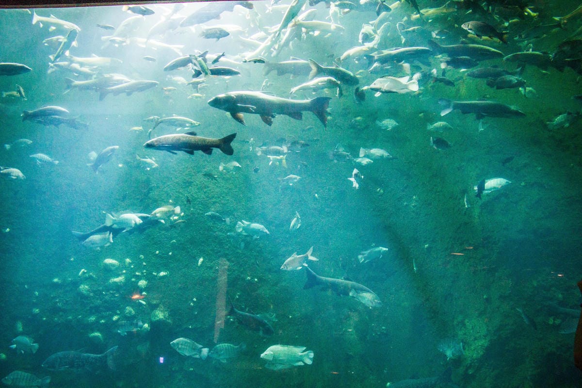 IMG_0513 (Copy).jpg IMG_0513 (Copy).jpg