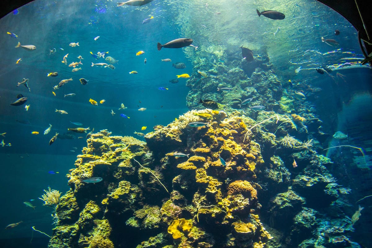 IMG_4872 (Copy).JPG IMG_4872 (Copy).JPG