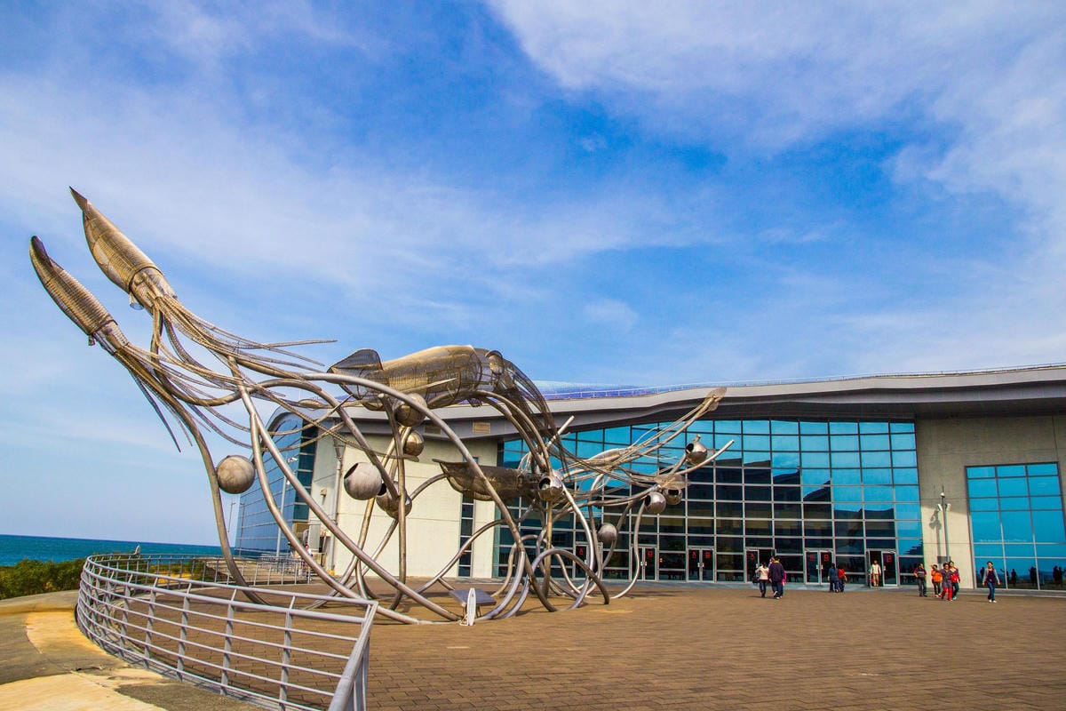 IMG_4941 (Copy).JPG IMG_4941 (Copy).JPG