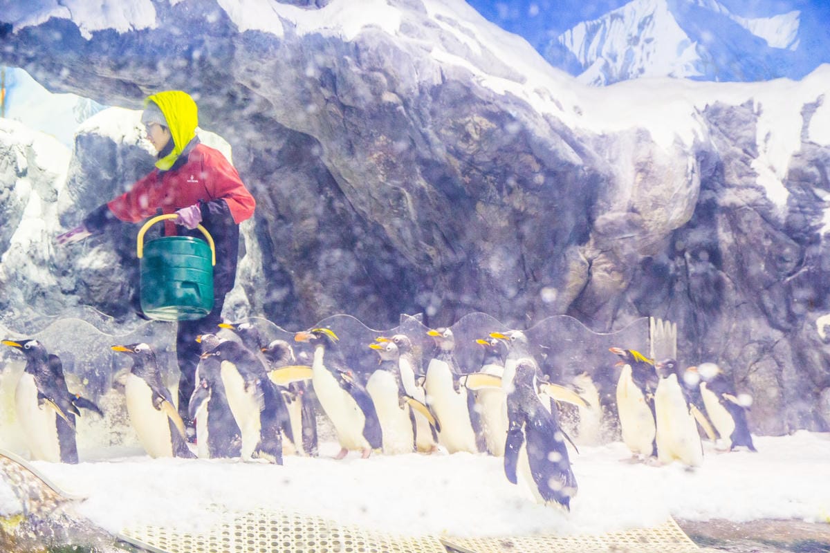 IMG_4919 (Copy).JPG IMG_4919 (Copy).JPG