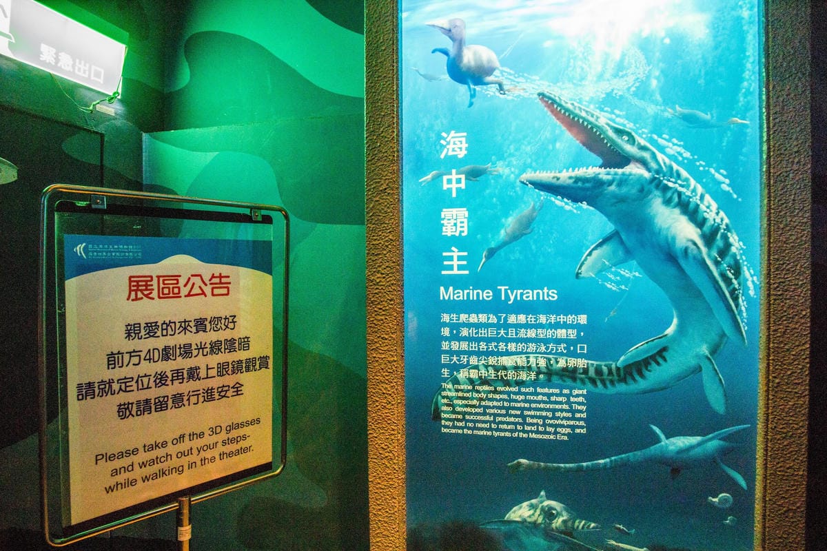 IMG_0401 (Copy).jpg IMG_0401 (Copy).jpg