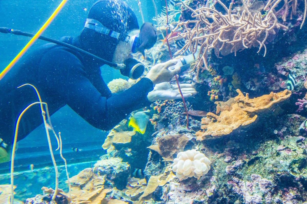 IMG_4871 (Copy).JPG IMG_4871 (Copy).JPG