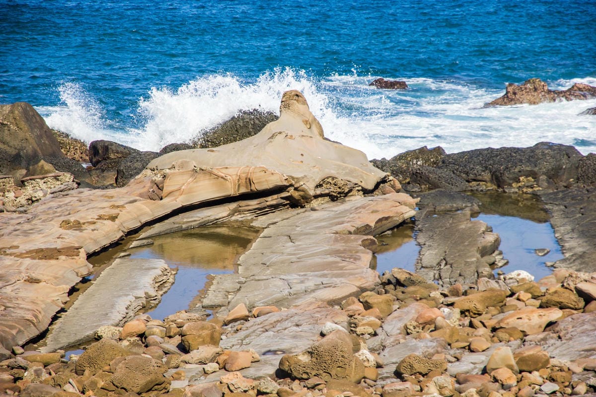 IMG_0644 (Copy).jpg IMG_0644 (Copy).jpg