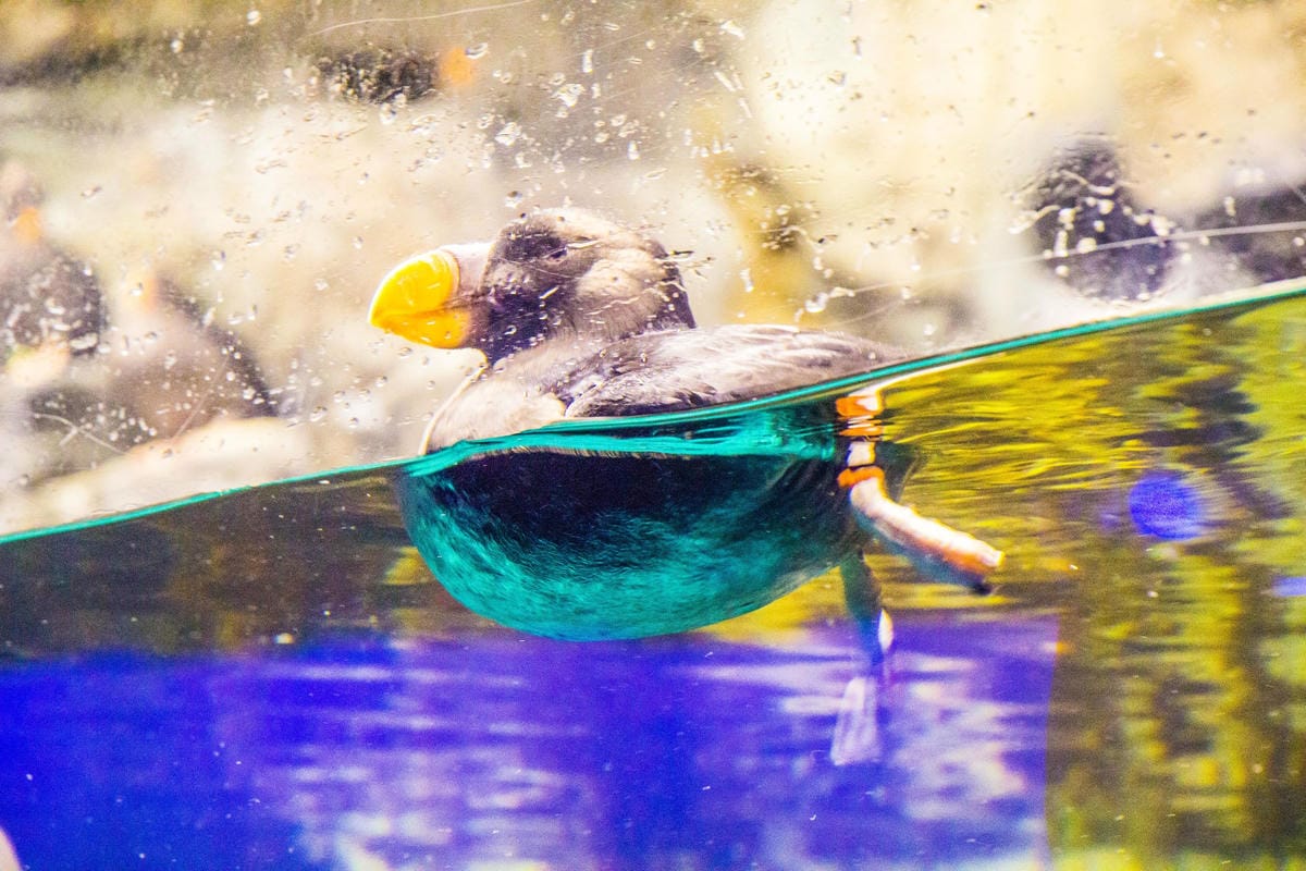 IMG_4936 (Copy).JPG IMG_4936 (Copy).JPG