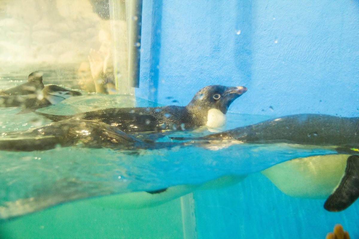 IMG_0447 (Copy).jpg IMG_0447 (Copy).jpg