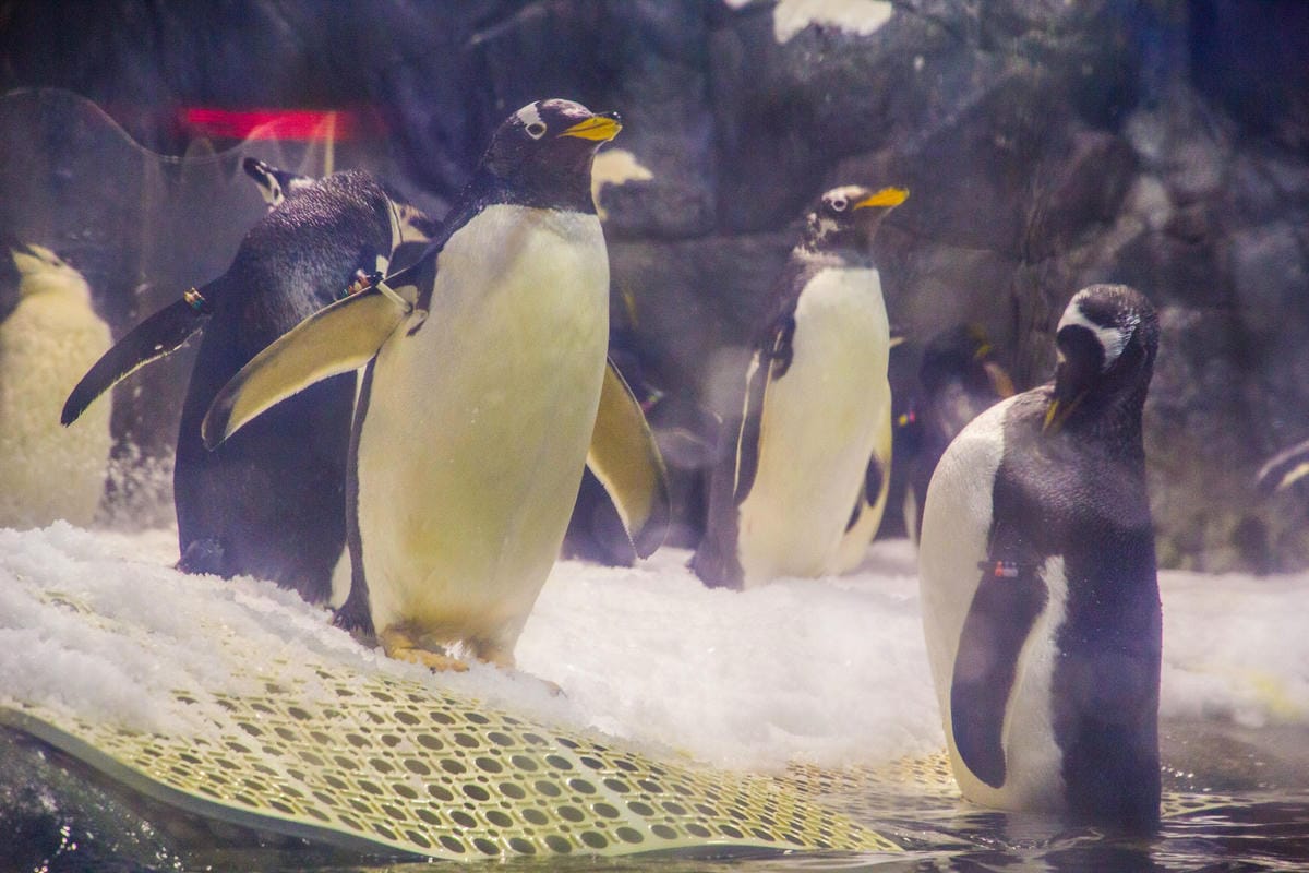 IMG_4928 (Copy).JPG IMG_4928 (Copy).JPG