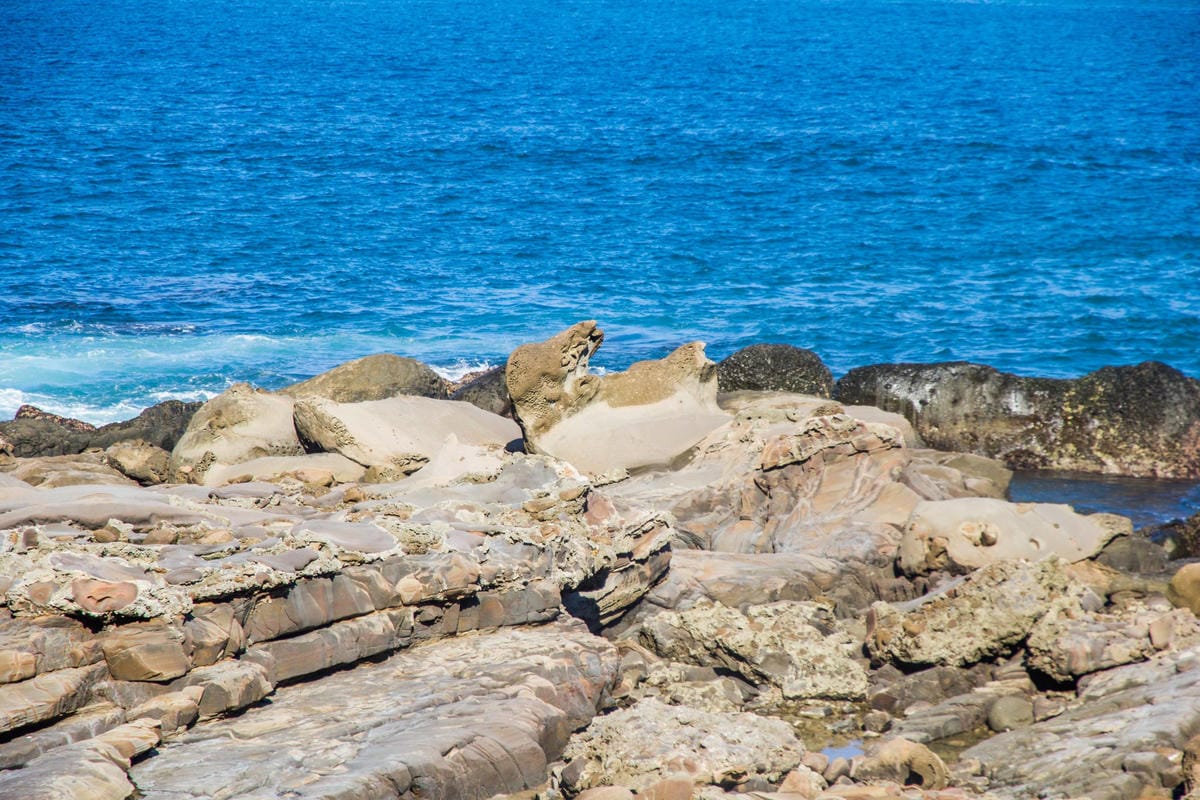 IMG_0645 (Copy).jpg IMG_0645 (Copy).jpg