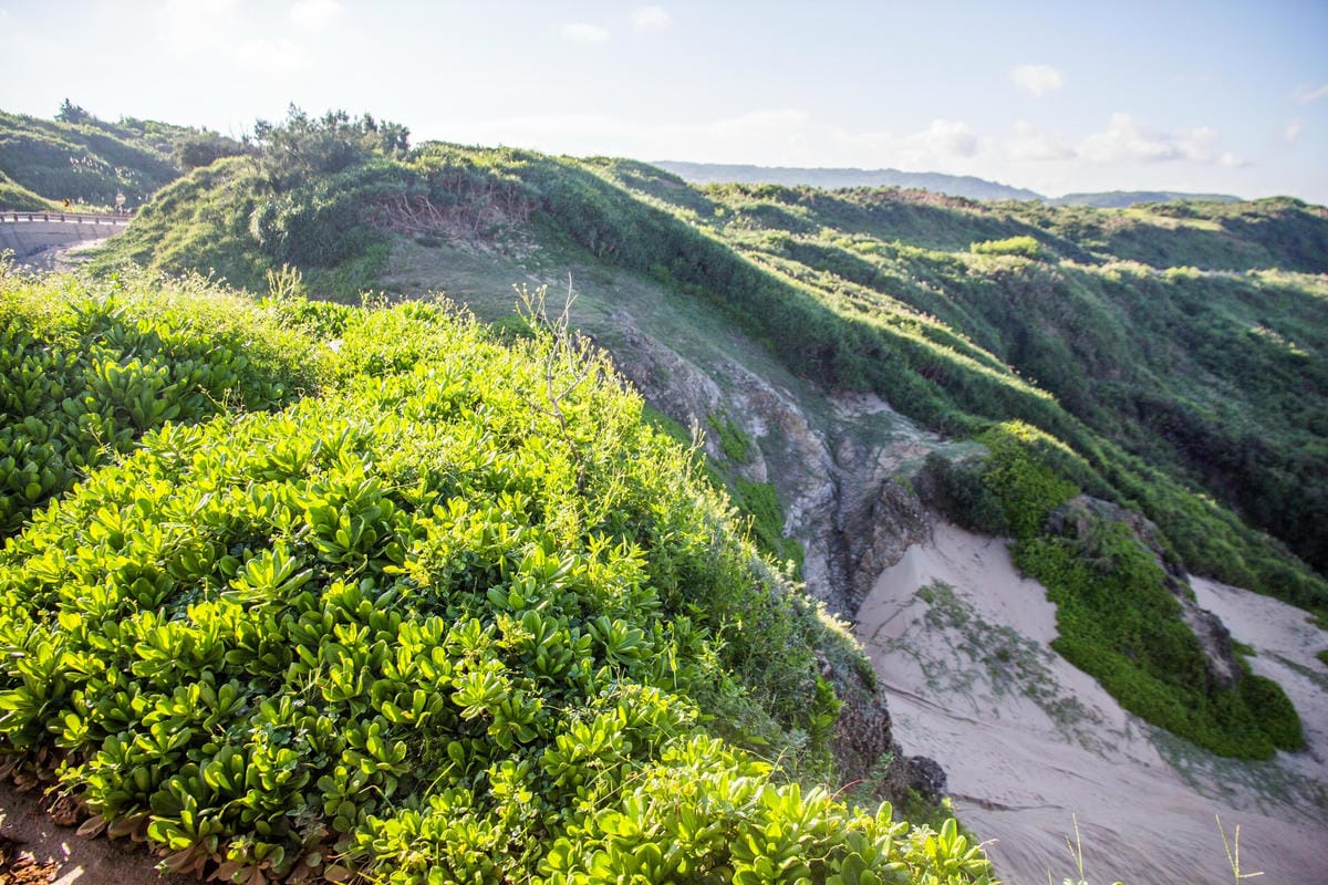 IMG_0674 (Copy).jpg IMG_0674 (Copy).jpg