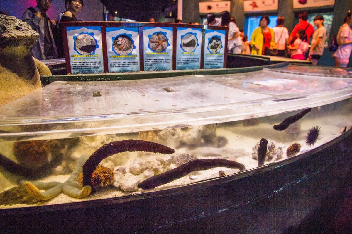 IMG_0524 (Copy).jpg IMG_0524 (Copy).jpg