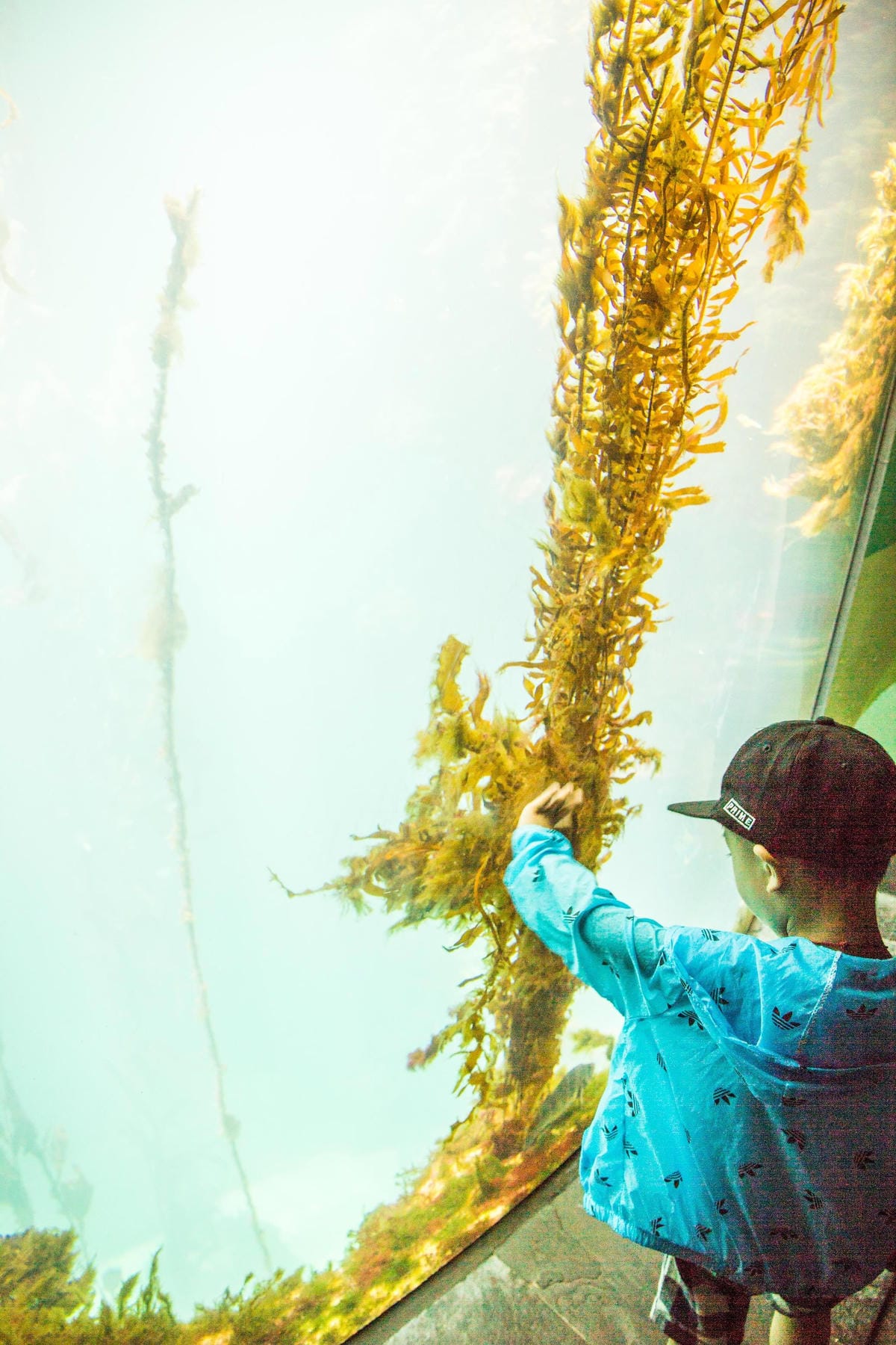 IMG_0414 (Copy).jpg IMG_0414 (Copy).jpg